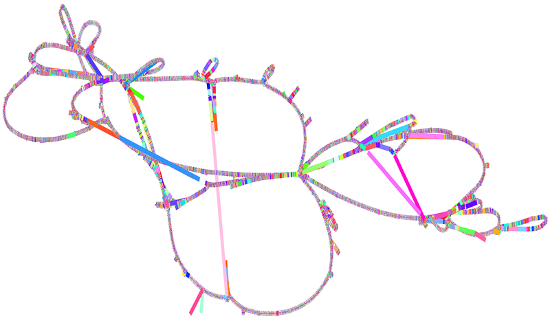 Pangenome graphs