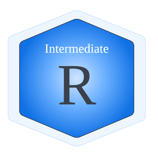 Intermediate R logo