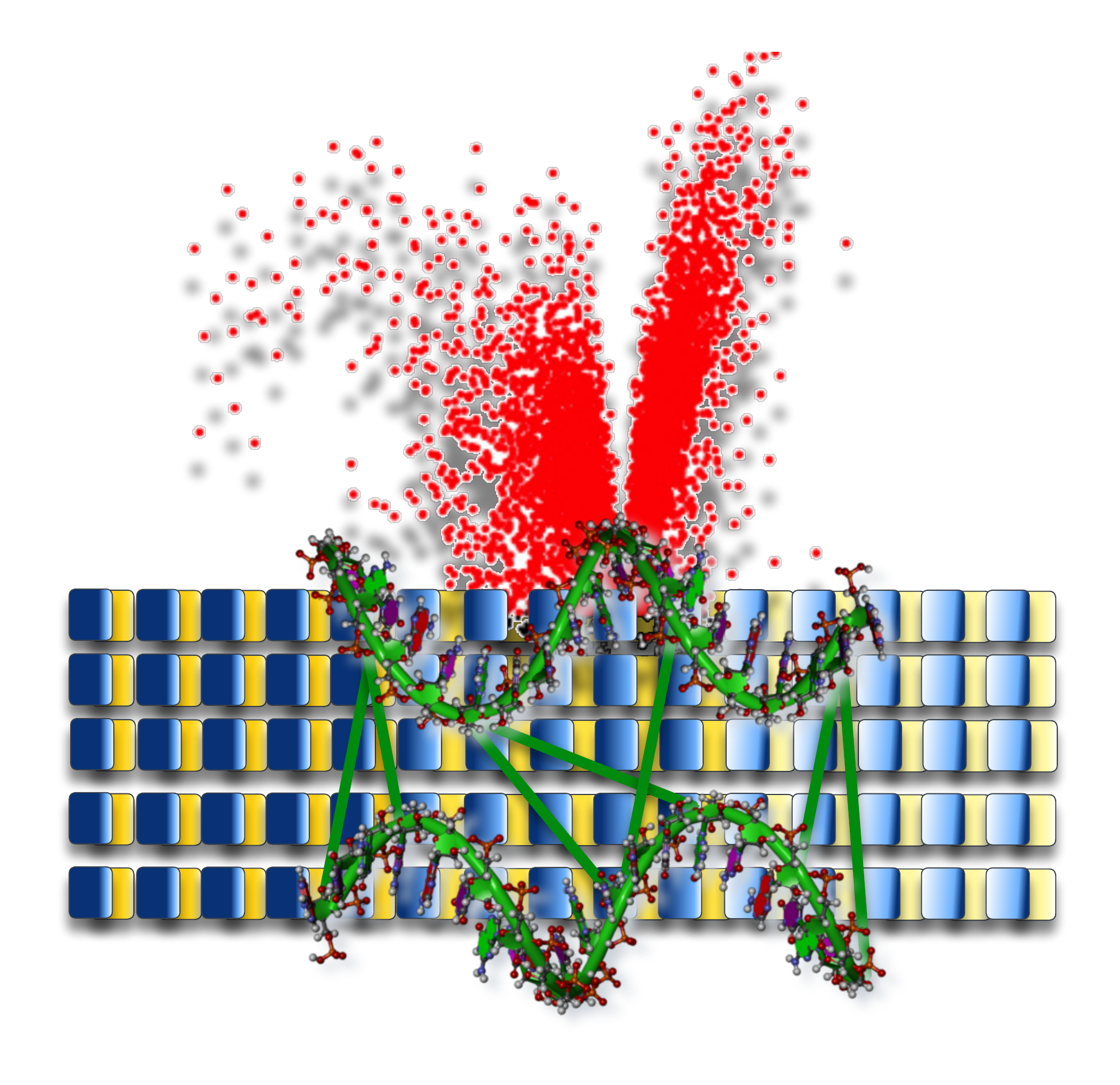 RNA image