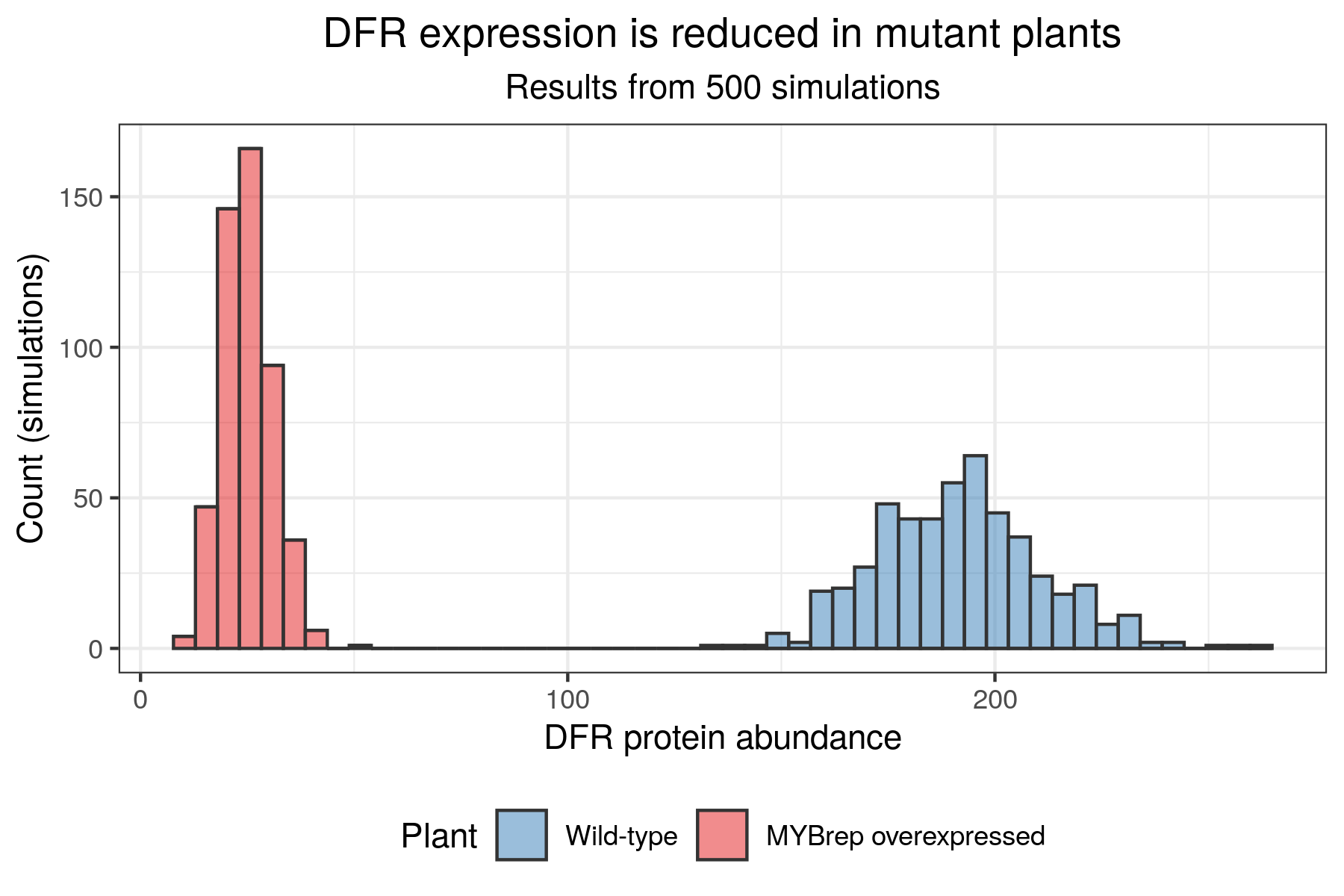 DFR protein abundance in the two plants