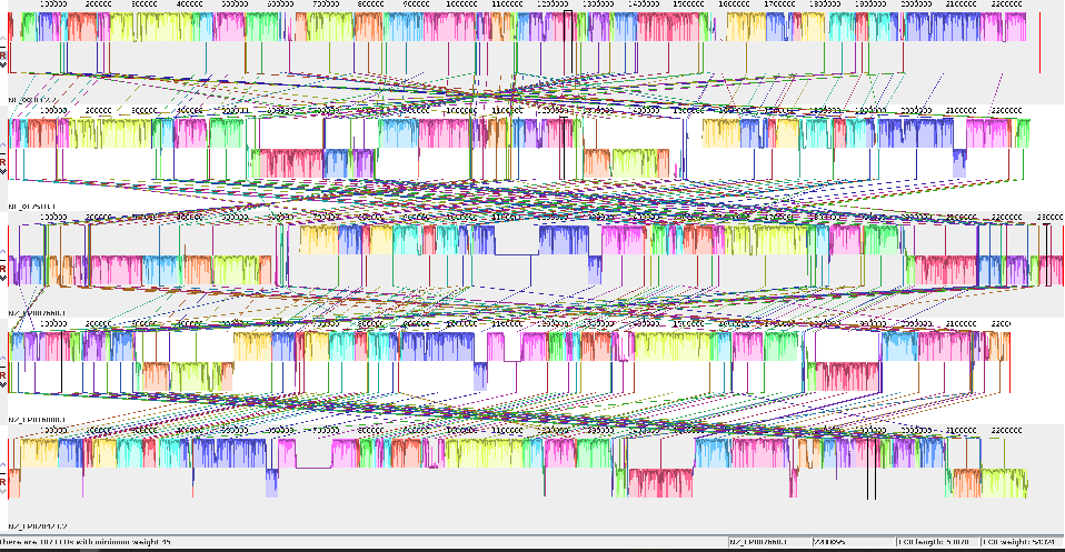 2. Tools & setup - Pangenome Graphs