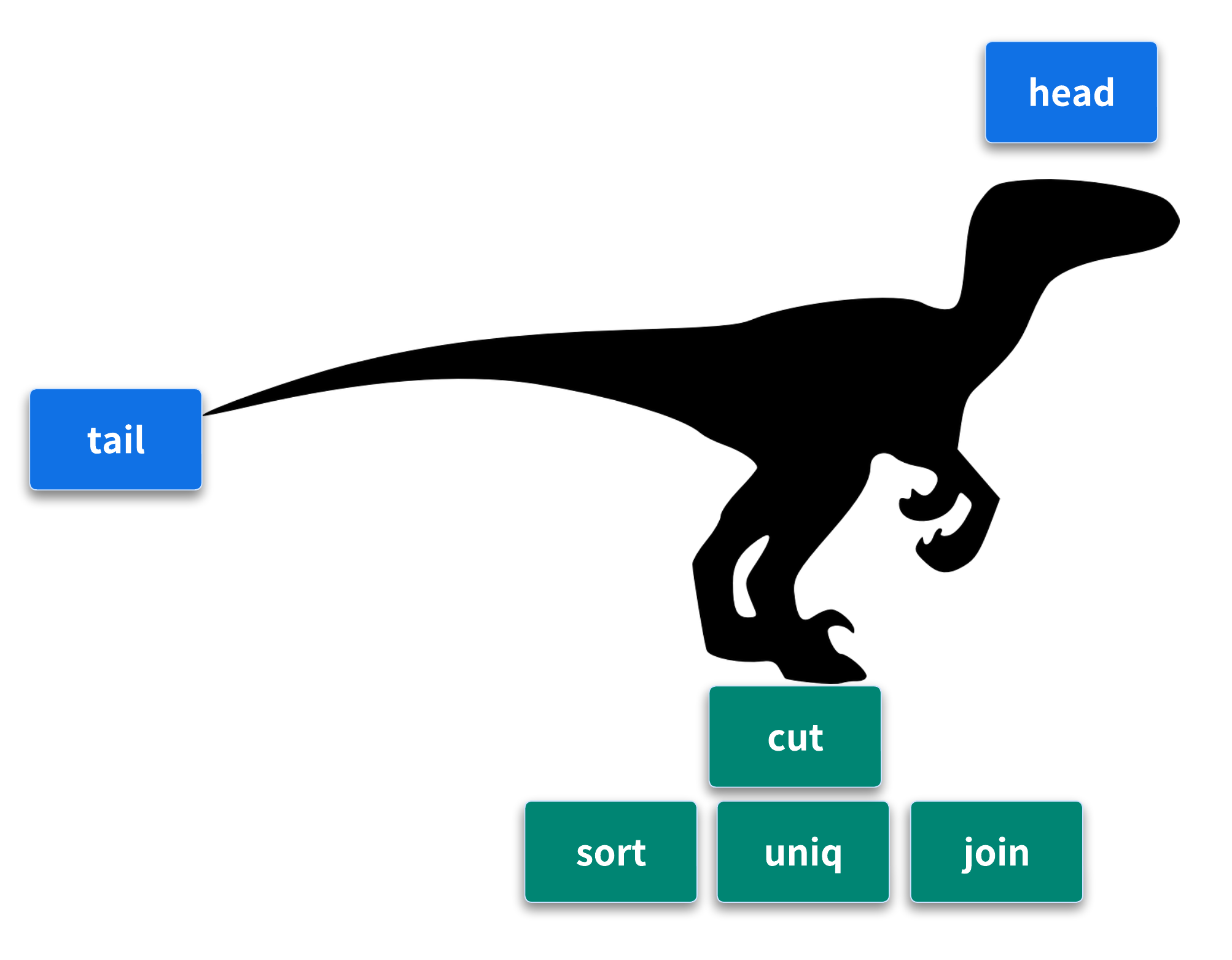 5-inspecting-and-manipulating-text-data-with-unix-tools-part-1